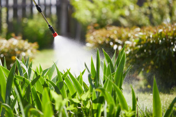 Tamper-Resistant Bait Stations for Rodents in San Carlos