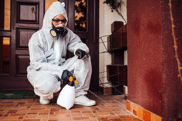 Attic and Crawl Space Rodent Treatment in San Carlos